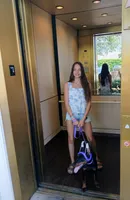 Mystique XL Euro, a female Doberman Pinscher for sale in The Villages, FL – Photo 3 of 10