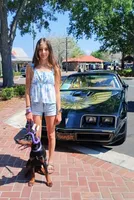 Mystique XL Euro, a female Doberman Pinscher for sale in The Villages, FL – Photo 4 of 10