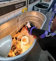 Mystique XL Euro, a female Doberman Pinscher for sale in The Villages, FL – Photo 5 of 10