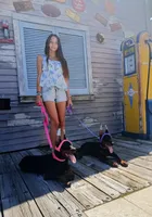 Storm XL Euro , a female Doberman Pinscher for sale in The Villages, FL – Photo 2 of 10