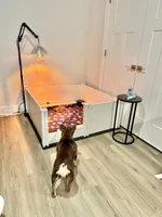 processed/49b6340f-a4cb-4aaa-984c-7584af03c8ae/facility/c83d86ea-9141-4b04-b8e6-740fd3827975