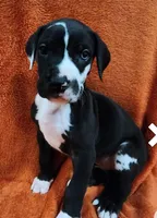 processed/49d7a58f-fa76-4e6c-ade7-e19bdb0c72a5/facility/0fe363da-d1fd-471c-9502-cf00745f49c9