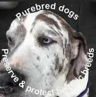 processed/49d7a58f-fa76-4e6c-ade7-e19bdb0c72a5/facility/3726aeef-6239-4e1e-b1a6-7417030cf700