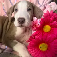 processed/49d7a58f-fa76-4e6c-ade7-e19bdb0c72a5/facility/a7fc162d-d013-4d5b-8ed9-d13241ca754e