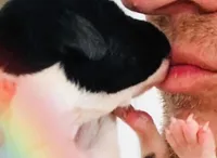 processed/49d7a58f-fa76-4e6c-ade7-e19bdb0c72a5/facility/b8f3f93f-1e3c-4210-a016-bac876a6710e