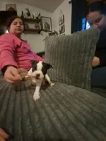 processed/49fadeae-bdb0-4648-8dc3-078b179a821a/facility/5bd85a19-d14e-4f99-86fc-36e4f788b80b