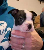 processed/49fadeae-bdb0-4648-8dc3-078b179a821a/facility/d8e4334b-da21-49ff-9771-f7825ae4be5e