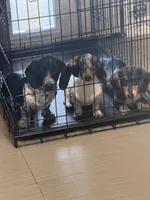 Facility photo