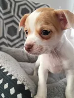 processed/49fdfa0e-3df3-489b-a1e5-9af387102e06/listing/0bf9bda0-4a42-461c-a8ef-7bd6368df42a/0acce0ec-175e-41d1-bfdc-b886f0c38c4e