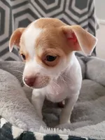 processed/49fdfa0e-3df3-489b-a1e5-9af387102e06/listing/0bf9bda0-4a42-461c-a8ef-7bd6368df42a/5ded3105-fe46-4ae2-8d96-6c07d769991b