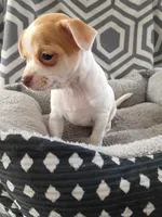 processed/49fdfa0e-3df3-489b-a1e5-9af387102e06/listing/0bf9bda0-4a42-461c-a8ef-7bd6368df42a/9e6a601c-4bb0-410a-bfbc-495d3880e5b4