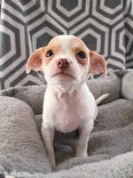 processed/49fdfa0e-3df3-489b-a1e5-9af387102e06/listing/0bf9bda0-4a42-461c-a8ef-7bd6368df42a/d8798aa4-5230-4021-a8b5-ed299ea01be1