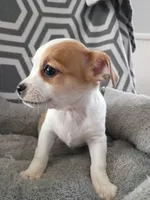 processed/49fdfa0e-3df3-489b-a1e5-9af387102e06/listing/0e3b6495-25cd-464d-aafa-3f6a4286245a/1cc390ed-af8c-4212-a24c-8ac17071f286