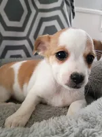 processed/49fdfa0e-3df3-489b-a1e5-9af387102e06/listing/0e3b6495-25cd-464d-aafa-3f6a4286245a/2079250f-198e-422d-921b-cd3fffdcecb4