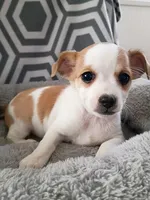 processed/49fdfa0e-3df3-489b-a1e5-9af387102e06/listing/0e3b6495-25cd-464d-aafa-3f6a4286245a/34ad2f06-fdae-4f19-b940-73319e127d0b