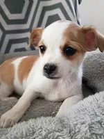 processed/49fdfa0e-3df3-489b-a1e5-9af387102e06/listing/0e3b6495-25cd-464d-aafa-3f6a4286245a/448949d1-91aa-44a1-8313-ece3aa0d466f