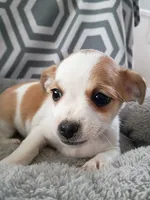 processed/49fdfa0e-3df3-489b-a1e5-9af387102e06/listing/0e3b6495-25cd-464d-aafa-3f6a4286245a/9a59dde9-c789-41ad-8c6a-4c140cf5086f