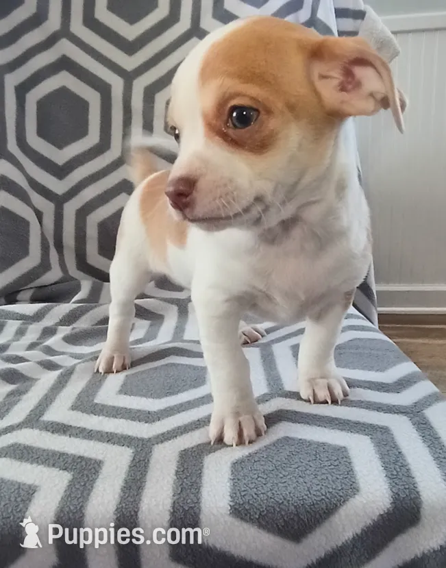 processed/49fdfa0e-3df3-489b-a1e5-9af387102e06/listing/5264c40c-06e2-4970-8de7-b1638279aa00/58ae3cf3-3ae3-46ca-ba2b-ca478b440059