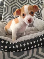 processed/49fdfa0e-3df3-489b-a1e5-9af387102e06/listing/5264c40c-06e2-4970-8de7-b1638279aa00/9f6cd067-d9c2-4df3-b0da-78d7000d1af0