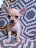 processed/49fdfa0e-3df3-489b-a1e5-9af387102e06/listing/fbabca8f-9956-42e2-944f-c31be10f033f/0b04fab2-2c8a-4a3b-a911-511f524cb4dc