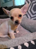 processed/49fdfa0e-3df3-489b-a1e5-9af387102e06/listing/fbabca8f-9956-42e2-944f-c31be10f033f/24b91cb9-1a24-4516-ba85-e0dade2e1876