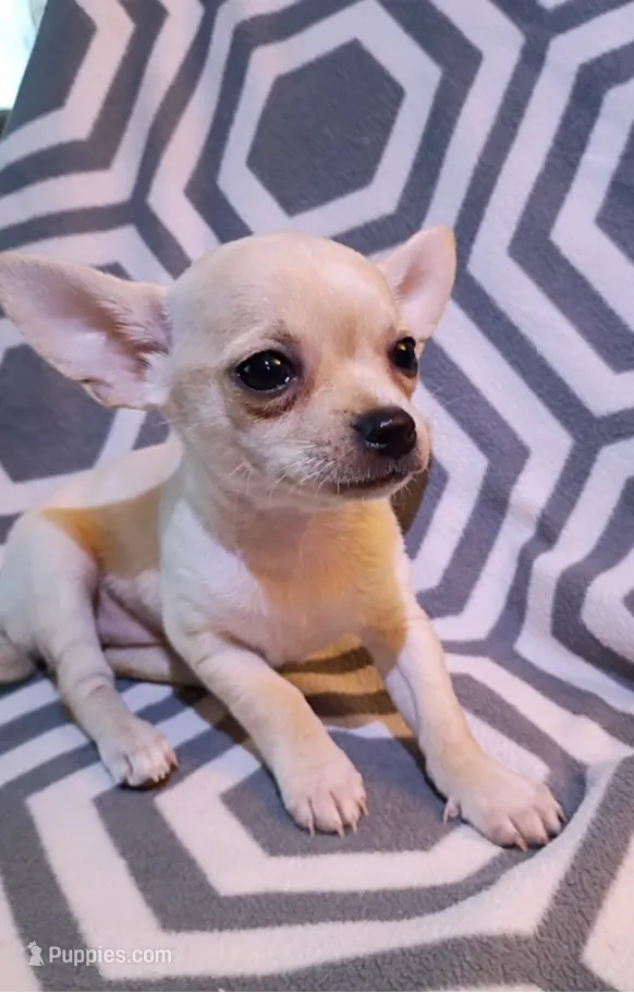 processed/49fdfa0e-3df3-489b-a1e5-9af387102e06/listing/fbabca8f-9956-42e2-944f-c31be10f033f/8e255e95-c904-4e11-8ac7-4810ece7a951