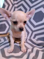 processed/49fdfa0e-3df3-489b-a1e5-9af387102e06/listing/fbabca8f-9956-42e2-944f-c31be10f033f/d220267f-00cd-4f91-8059-9adbb13b0910