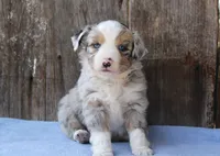 processed/4a0004b2-d215-49a3-ae34-8beb08596af2/listing/3f1e3169-bcfc-4bd8-8c9d-d468e7125dbc/060dfe6f-3f73-4bee-8111-0e58c7b89f4e