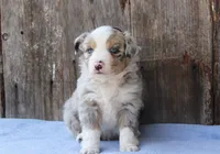 processed/4a0004b2-d215-49a3-ae34-8beb08596af2/listing/3f1e3169-bcfc-4bd8-8c9d-d468e7125dbc/b4f47bae-9d0b-44e1-a248-d347b6166ed7