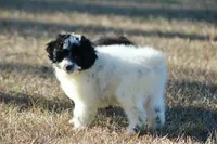 processed/4a0004b2-d215-49a3-ae34-8beb08596af2/listing/86aeec80-9826-40a3-b47c-644b00f29bd2/4250e96c-92f1-4f1f-88f0-e9cced695bba