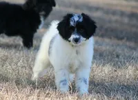 processed/4a0004b2-d215-49a3-ae34-8beb08596af2/listing/86aeec80-9826-40a3-b47c-644b00f29bd2/d506bc89-b40c-49f5-9109-b552c318b538