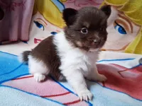 processed/4a0012f5-44a8-4cd1-950e-005bddfe5ebd/listing/c5f949b3-98e6-4234-b5cc-208779d8a8bc/616da6f1-0153-4cd4-a495-04c9b56ede27