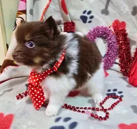 processed/4a0012f5-44a8-4cd1-950e-005bddfe5ebd/listing/c5f949b3-98e6-4234-b5cc-208779d8a8bc/678b6c7b-c402-47c1-b610-67dbae3a0472