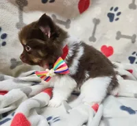 processed/4a0012f5-44a8-4cd1-950e-005bddfe5ebd/listing/c5f949b3-98e6-4234-b5cc-208779d8a8bc/a9b980b0-3530-4b8a-bb11-aa8d479da715