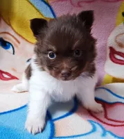 processed/4a0012f5-44a8-4cd1-950e-005bddfe5ebd/listing/c5f949b3-98e6-4234-b5cc-208779d8a8bc/c6bb999a-3d33-4dc5-9769-daaf8f2851a4