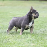 processed/4a16e0b8-ecda-4541-b343-02f879b7508f/facility/2a0c3dba-b8d3-428d-8c36-eb930edac4e9