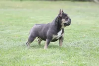 processed/4a16e0b8-ecda-4541-b343-02f879b7508f/facility/2a0c3dba-b8d3-428d-8c36-eb930edac4e9