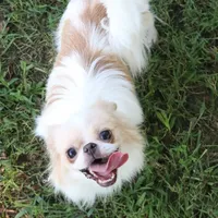 processed/4a16e0b8-ecda-4541-b343-02f879b7508f/facility/38d6cada-db82-4bff-b745-2d1f4d13cee4