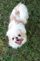 processed/4a16e0b8-ecda-4541-b343-02f879b7508f/facility/38d6cada-db82-4bff-b745-2d1f4d13cee4