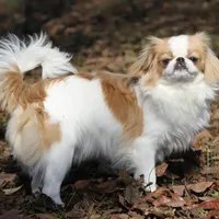 processed/4a16e0b8-ecda-4541-b343-02f879b7508f/facility/64bbb7e1-e735-4464-9ac3-2bcc06d32ade