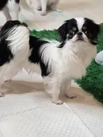 processed/4a16e0b8-ecda-4541-b343-02f879b7508f/listing/0c6cbf3c-6426-4cf0-9f52-4f139320d404/0c8880a1-1fae-420b-af2f-367a7d248d89