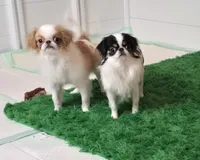 processed/4a16e0b8-ecda-4541-b343-02f879b7508f/listing/0c6cbf3c-6426-4cf0-9f52-4f139320d404/4bb449cd-908d-4626-a8fa-7d836c51735c