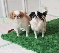 processed/4a16e0b8-ecda-4541-b343-02f879b7508f/listing/0c6cbf3c-6426-4cf0-9f52-4f139320d404/e06a929a-5078-4ab8-a335-a558f2a13fb0