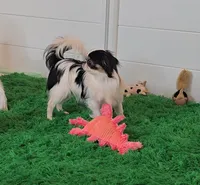 processed/4a16e0b8-ecda-4541-b343-02f879b7508f/listing/0c6cbf3c-6426-4cf0-9f52-4f139320d404/f5731413-62b6-4c6c-ac39-eb8e0419adf2