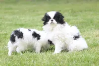 processed/4a16e0b8-ecda-4541-b343-02f879b7508f/listing/1a868151-4208-40c9-8e89-a58f32f1ef83/0acad897-7583-42b2-ad12-1c56a171e8de