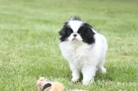 processed/4a16e0b8-ecda-4541-b343-02f879b7508f/listing/1a868151-4208-40c9-8e89-a58f32f1ef83/66499c26-e93f-4bb0-952d-945f33c9b4f3