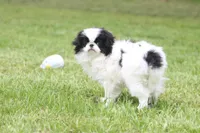 processed/4a16e0b8-ecda-4541-b343-02f879b7508f/listing/1a868151-4208-40c9-8e89-a58f32f1ef83/a05a3e4e-3de0-4abd-b6a9-2fe69b2304c1