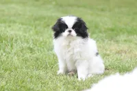 processed/4a16e0b8-ecda-4541-b343-02f879b7508f/listing/1a868151-4208-40c9-8e89-a58f32f1ef83/a391755c-f5c7-4c3b-a0d4-7d60f20f0a5b