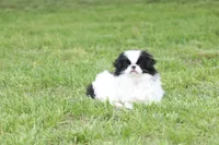 processed/4a16e0b8-ecda-4541-b343-02f879b7508f/listing/1a868151-4208-40c9-8e89-a58f32f1ef83/a8844ce2-659a-48b0-a82c-dbcd7932737d