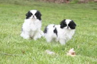 processed/4a16e0b8-ecda-4541-b343-02f879b7508f/listing/1a868151-4208-40c9-8e89-a58f32f1ef83/b17dfb28-1a19-4cec-b0f0-ca1cc0e767d0